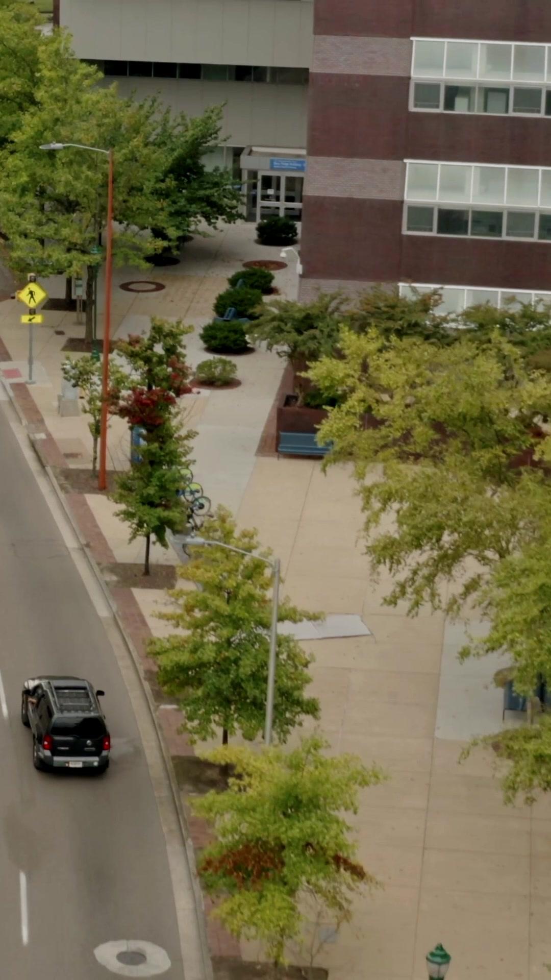 Obedéceme, hijo del presidente