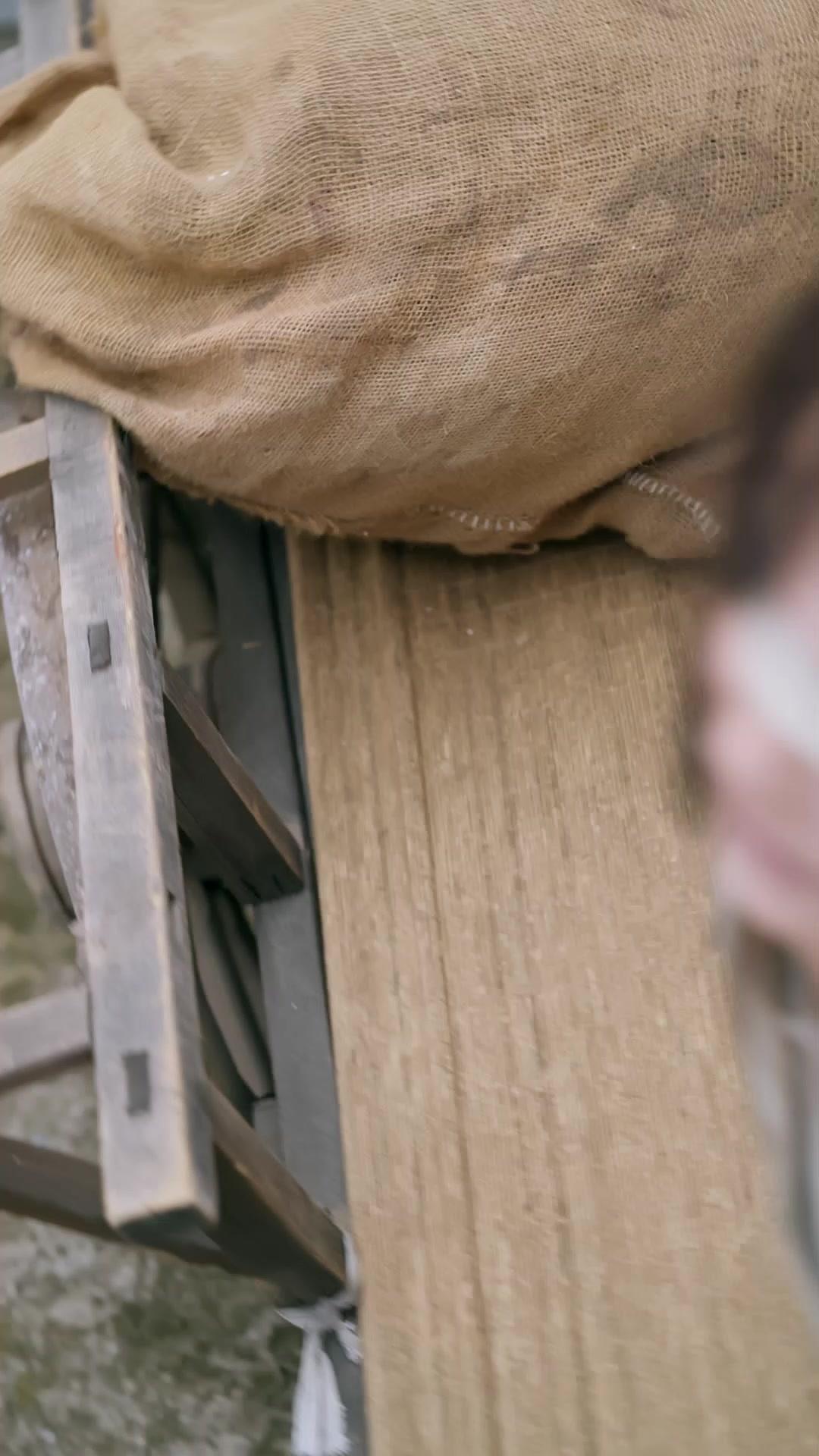 The Commoner Emperor’s Love Returns