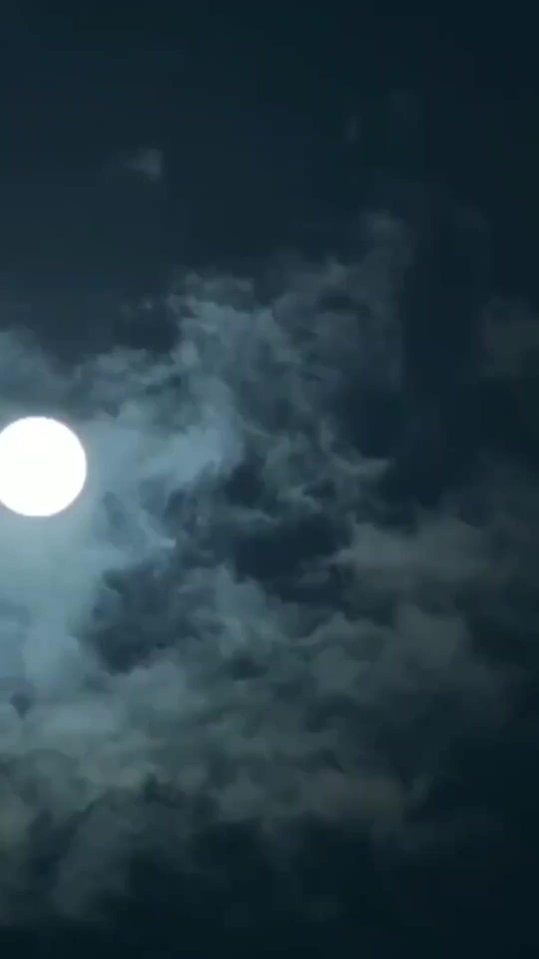 御縁談は甘え殿