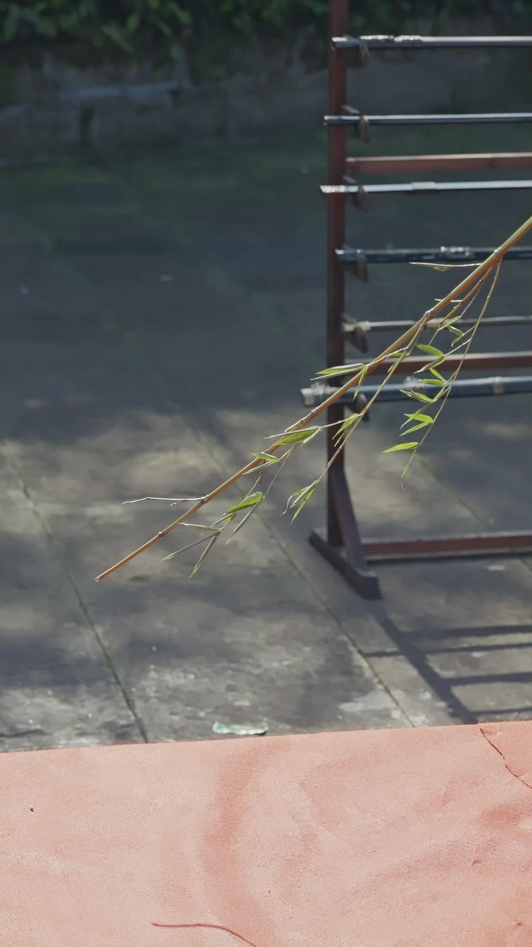 Loser? Martial World Knelt!