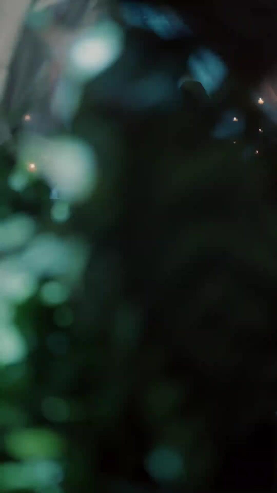 (吹き替え) 花散る前に君を愛す