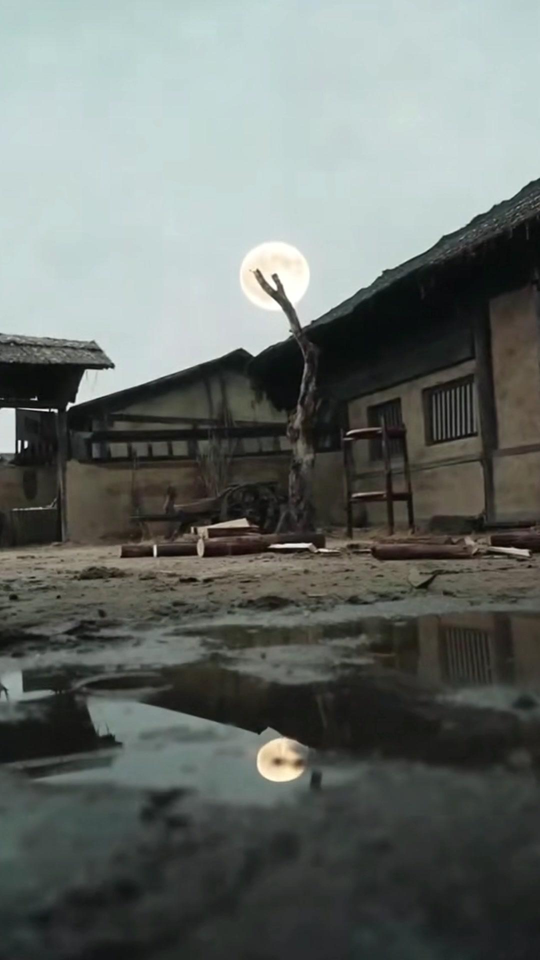 I Survived, I Married, and I Conquered!