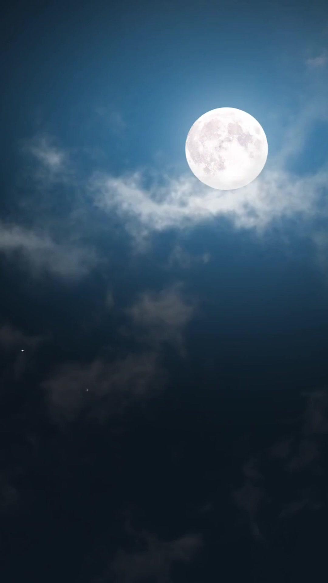 I Became My Sister to Avenge Her