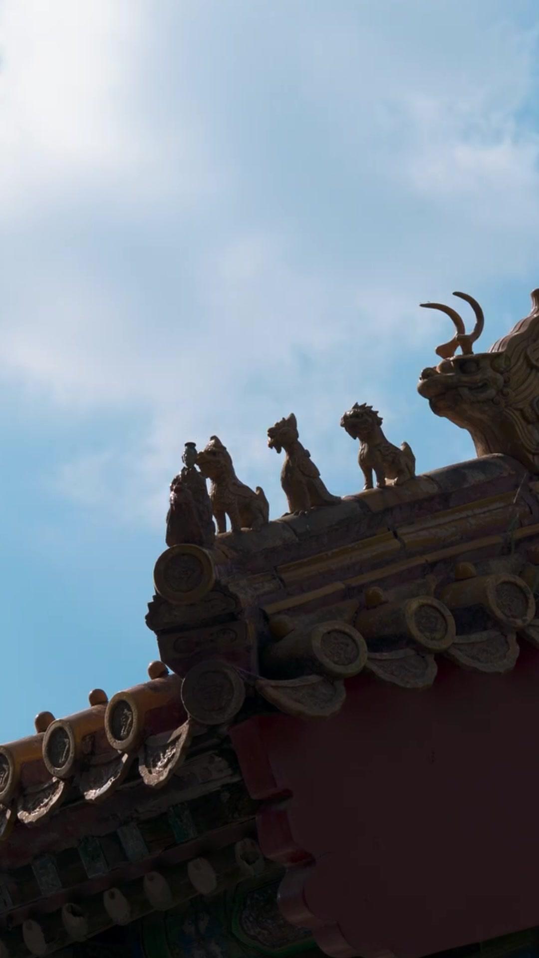 肌情古代！蛋白粉猛男驚呆公主