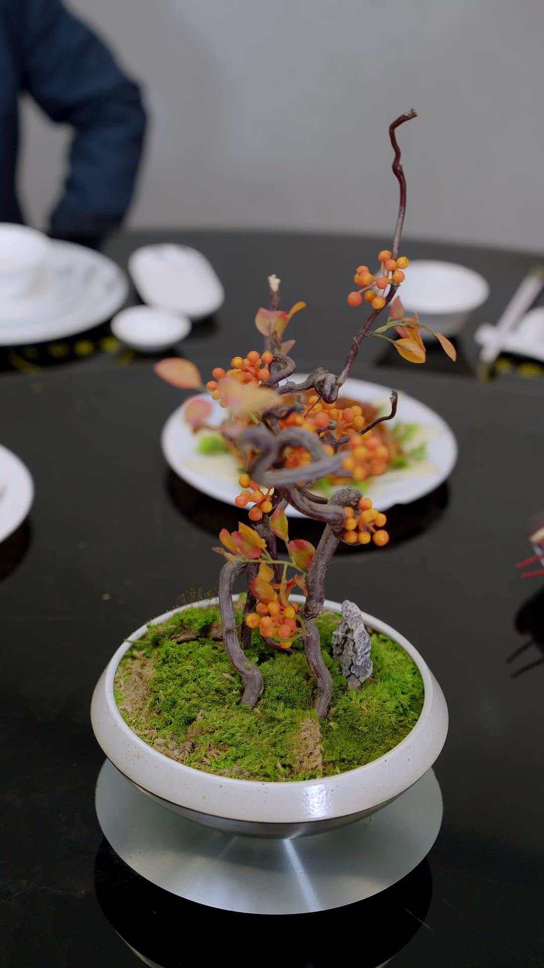 天才Doctor～追放と華麗なる逆転劇～