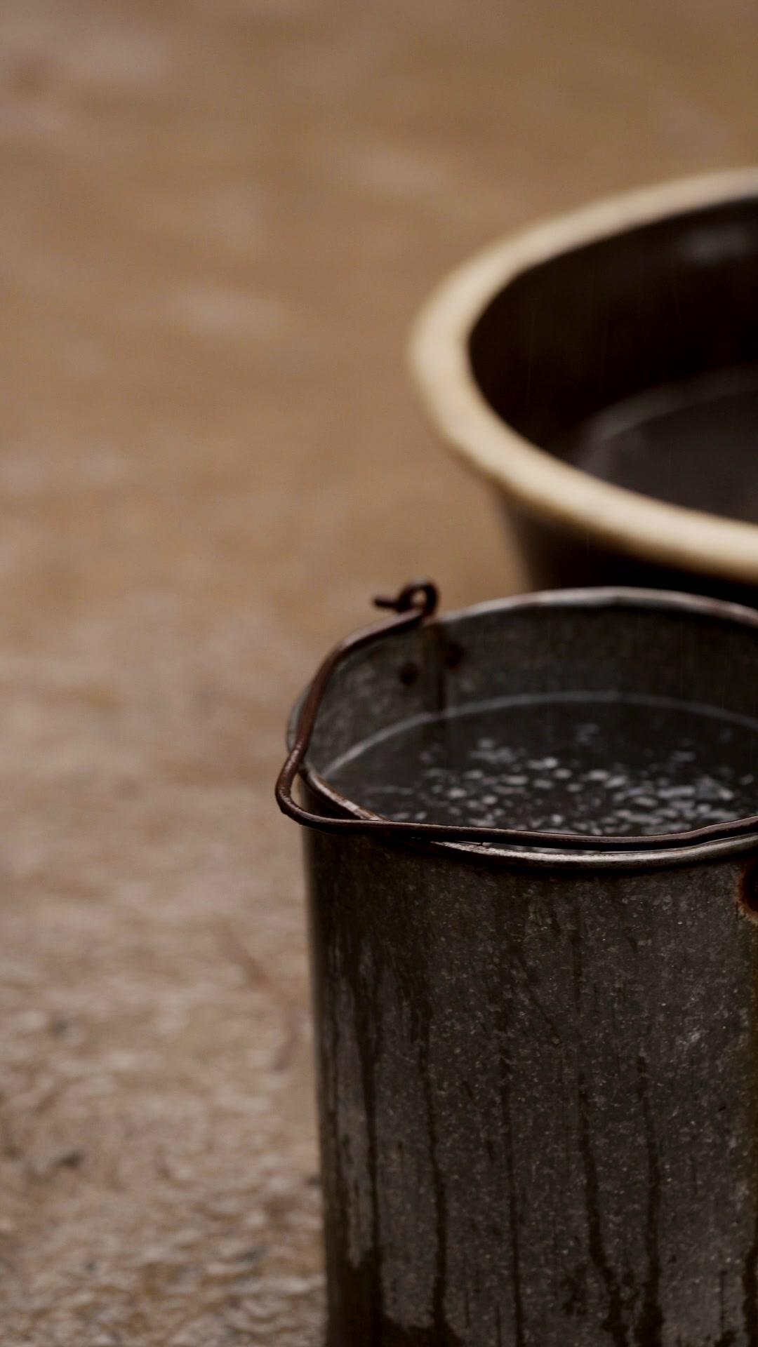 Bolinha: Minha Sortuda Protetora