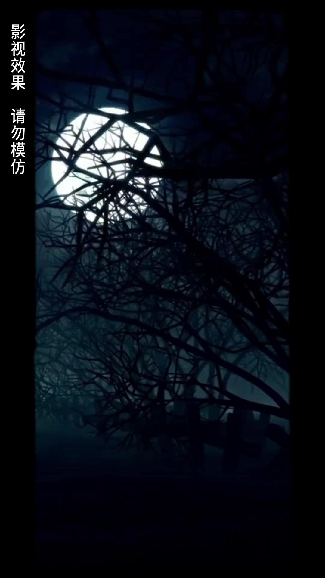 嘘でも、君が好き