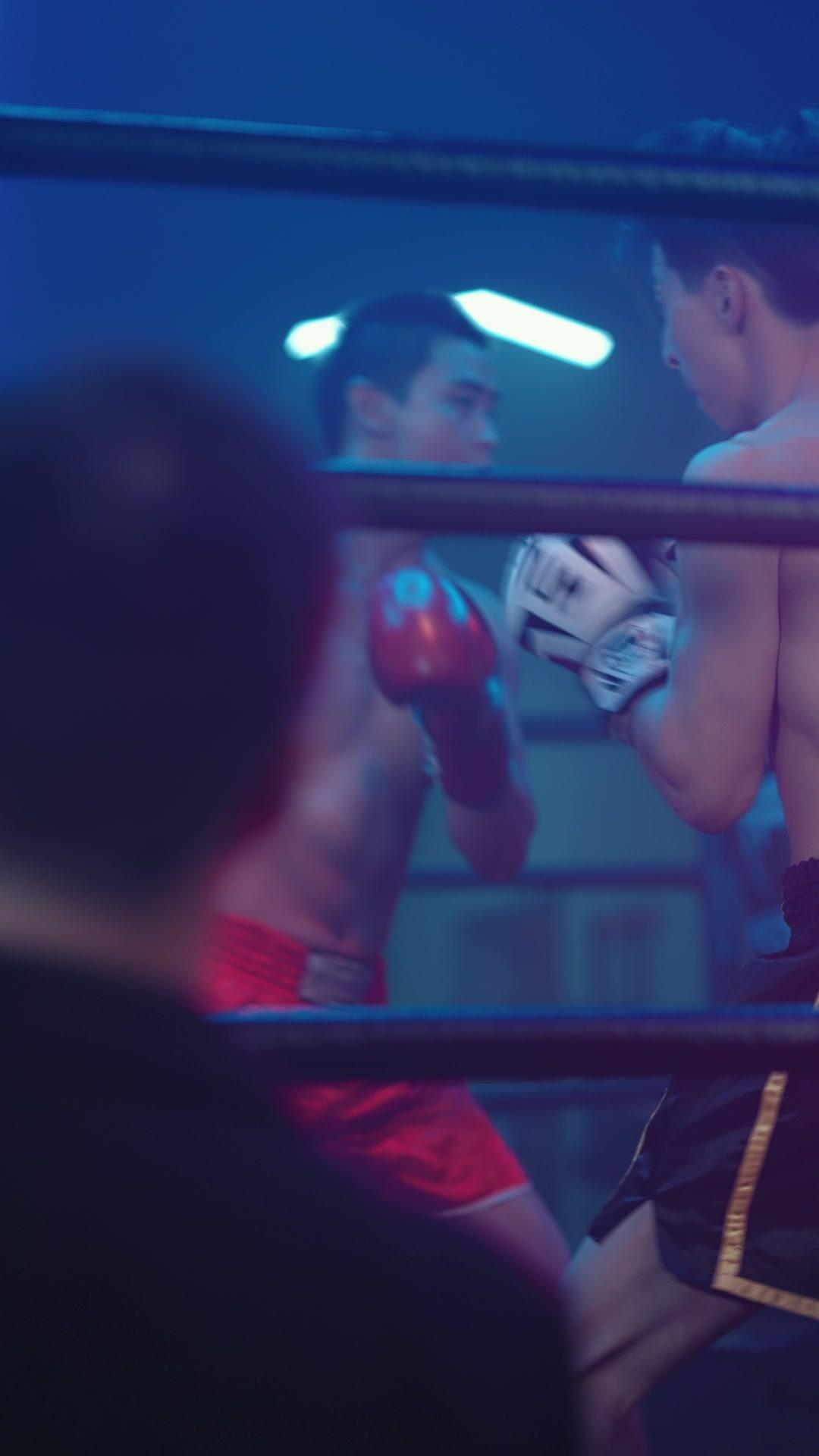 Kiss or Kill: The Criminal I Loved