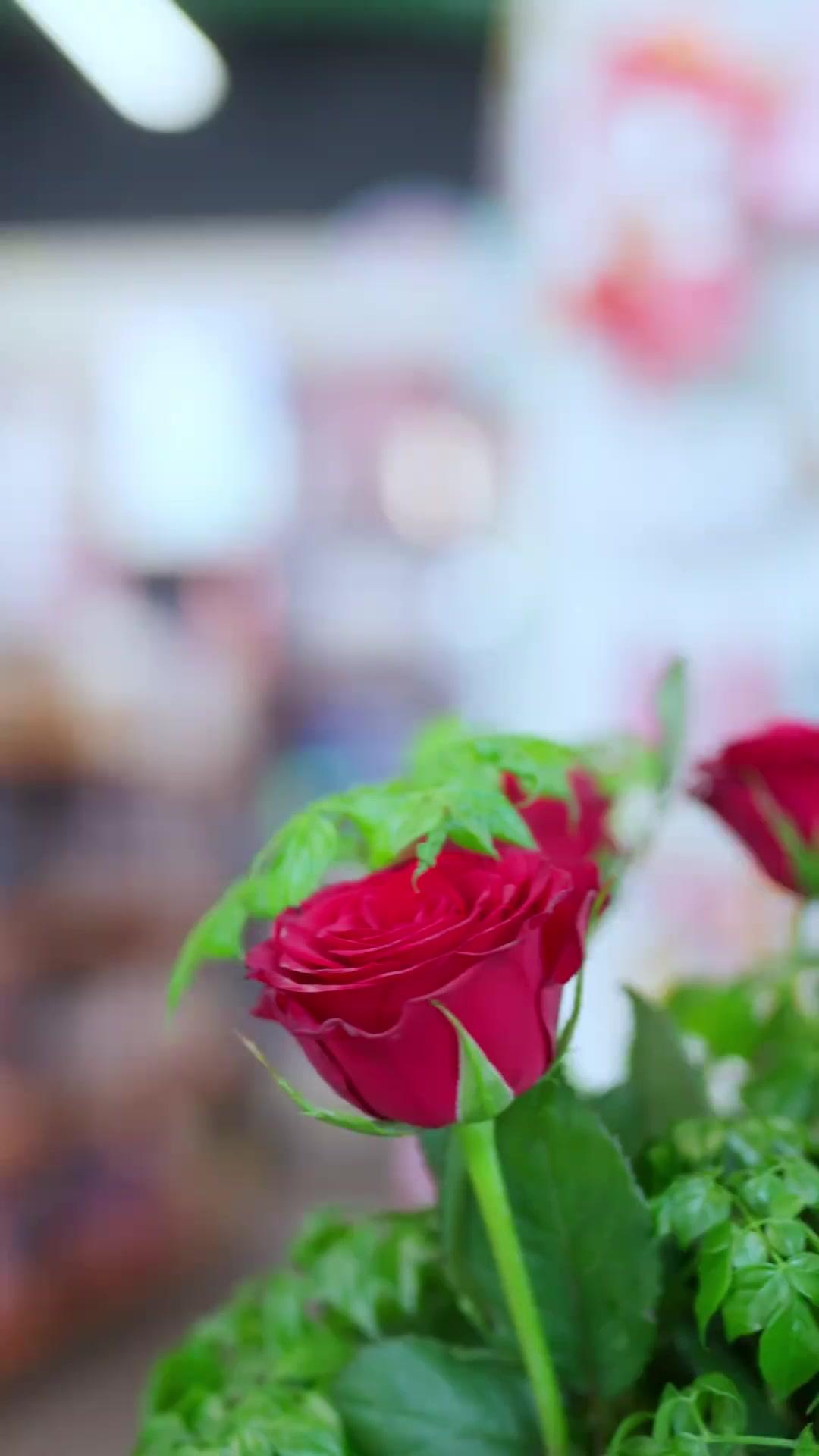 大学生ヒロイン  一夜で狼王の花嫁に！