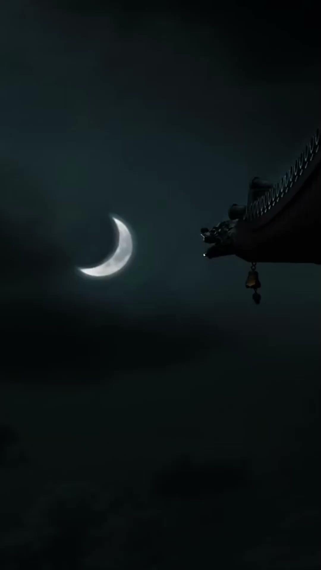 The Widow’s Second Chance