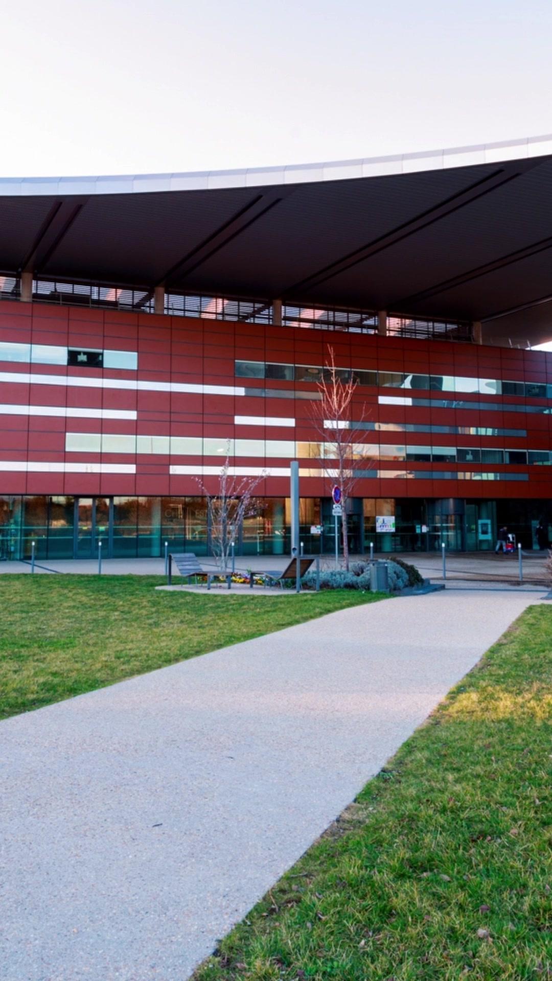 Mistaken Surrogate For The B-ball Bad Boy