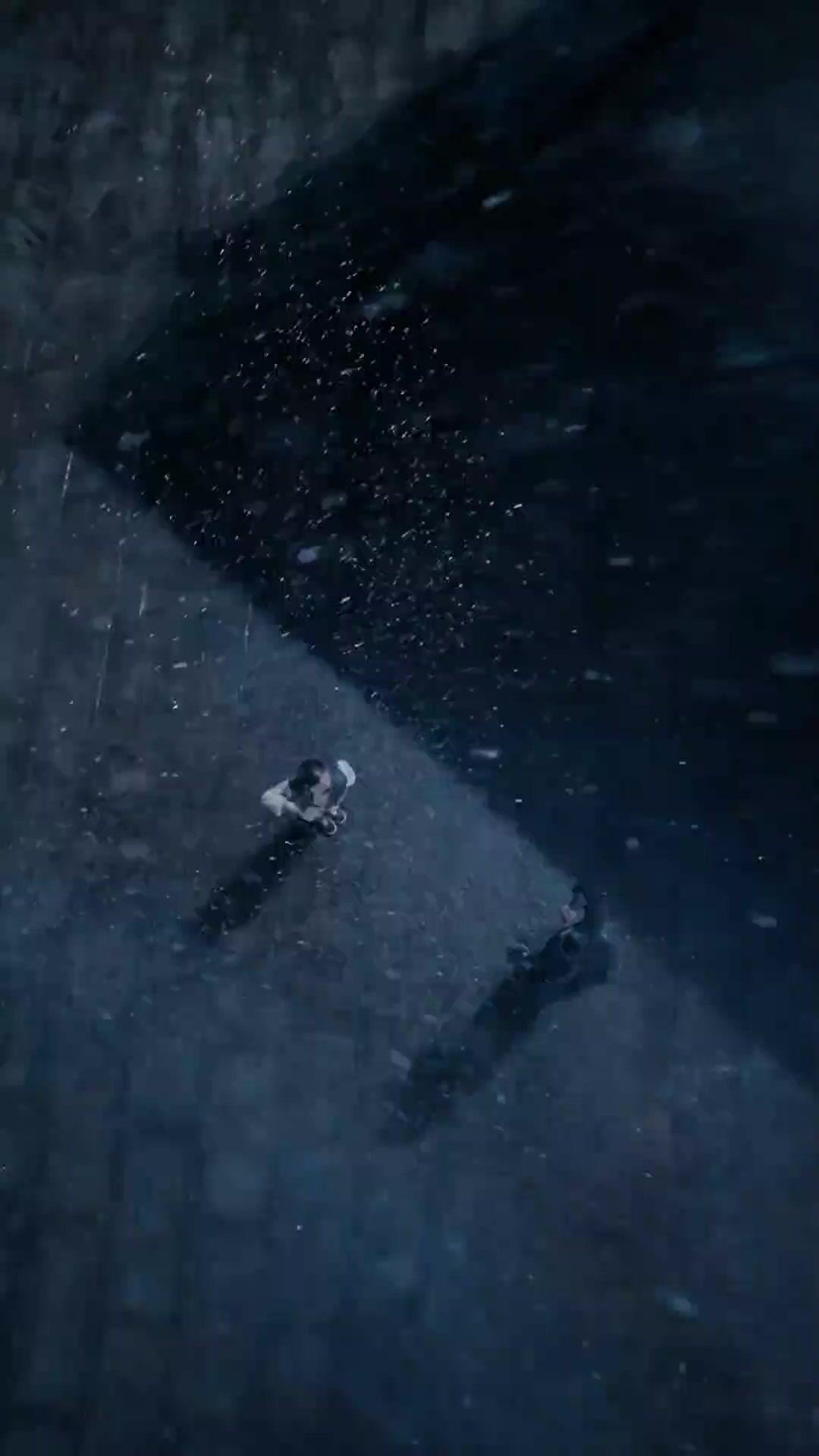 (Dubbed)Iron Fist, Blossoming Heart