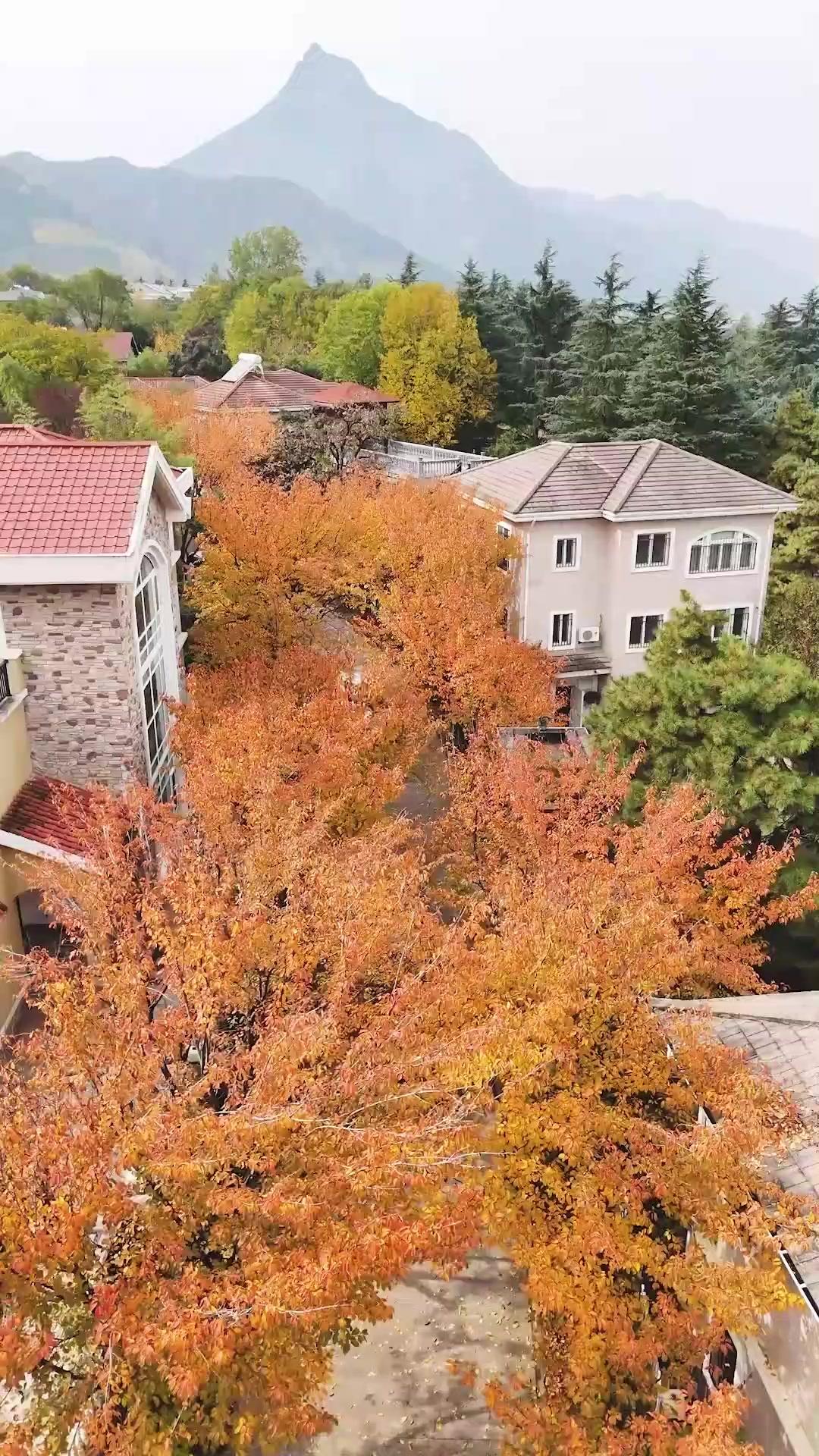 The Breakup Pro’s Own Breakup