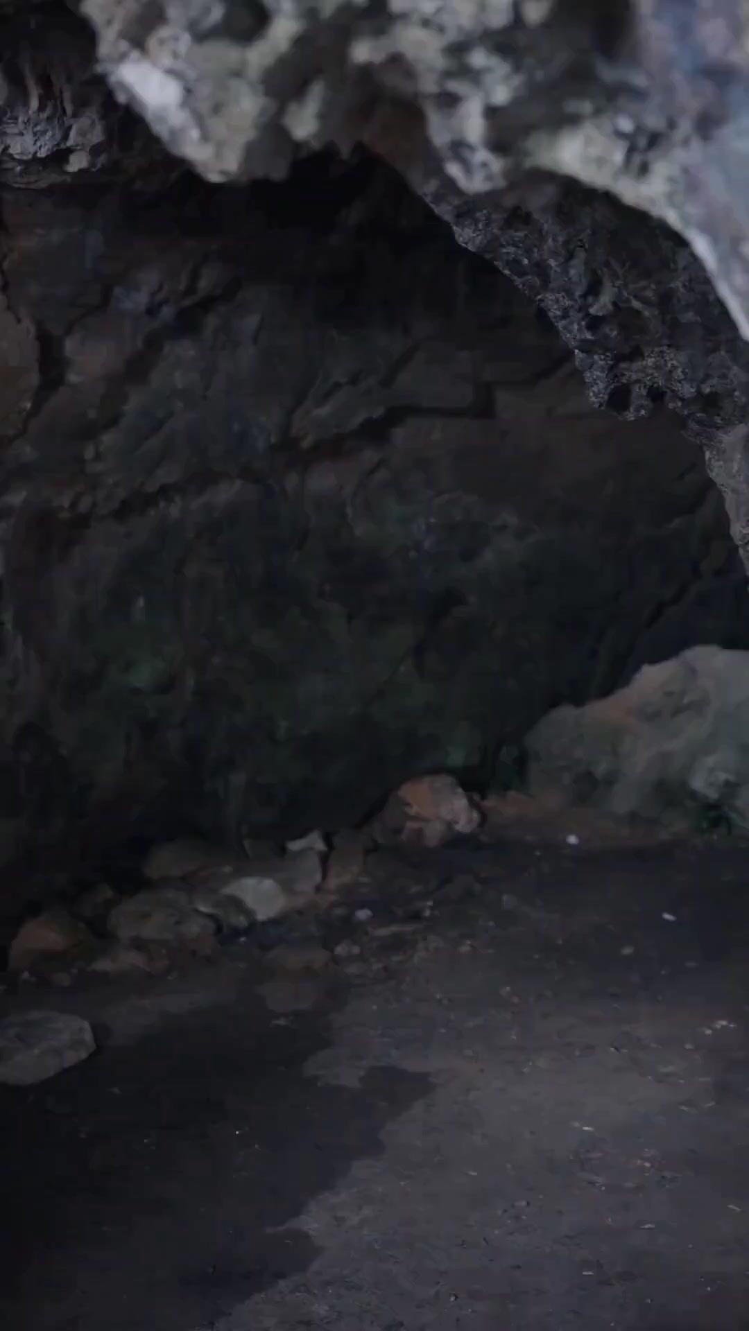 (Dublagem) O Ataque do Tubarão Gigante