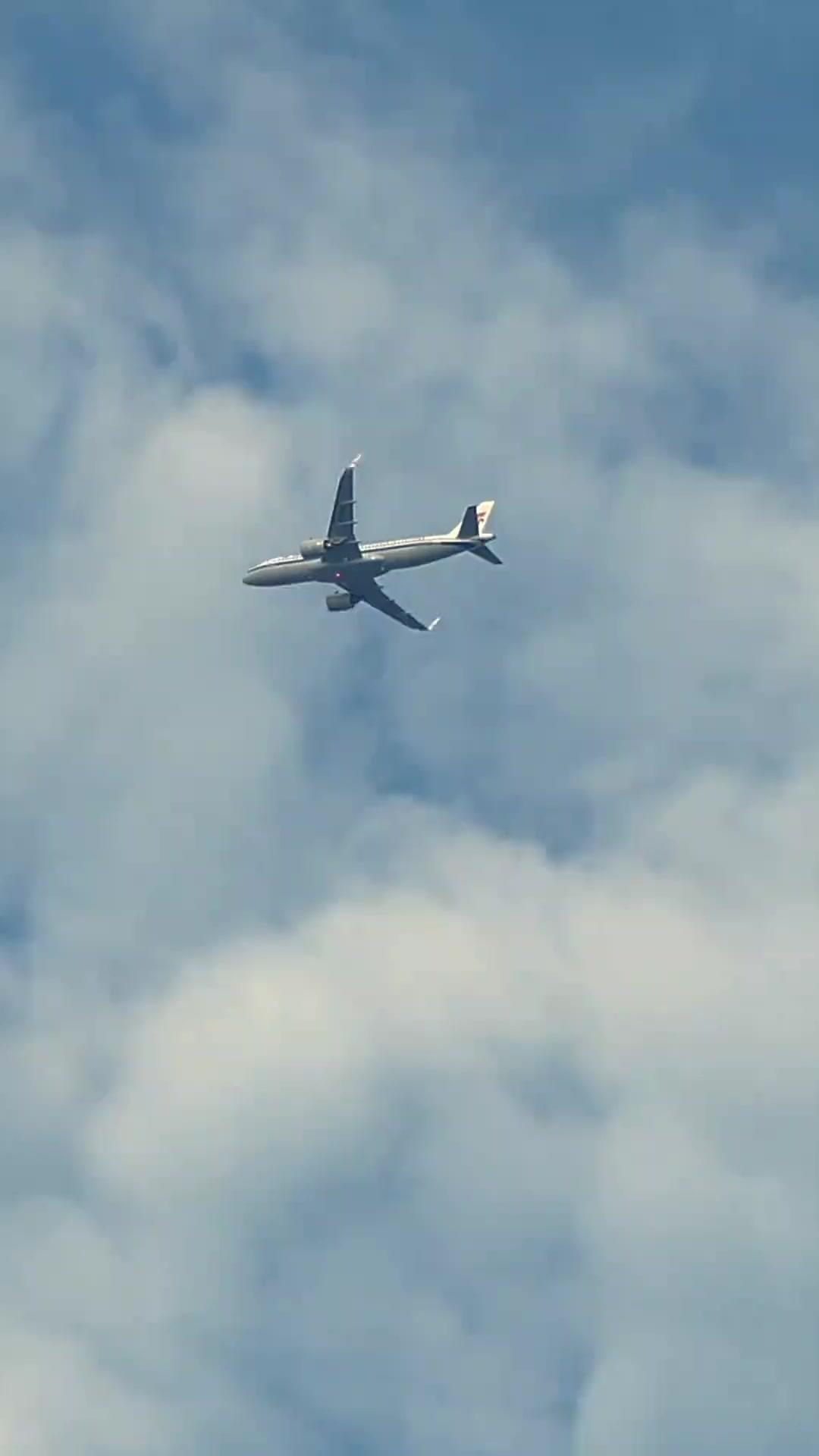 My Fake Wife Is the Real Billionaire?