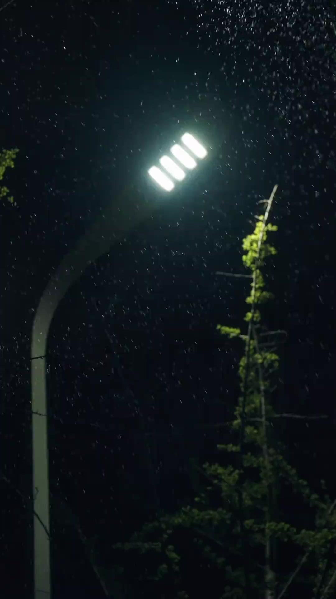 가족이라는 지옥