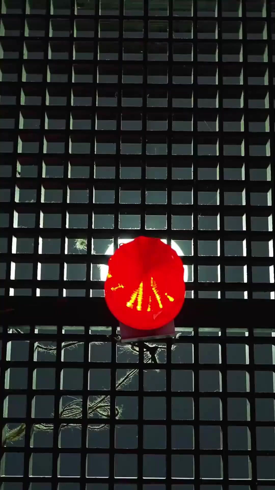 신룡: 지옥에서 깨어난 자