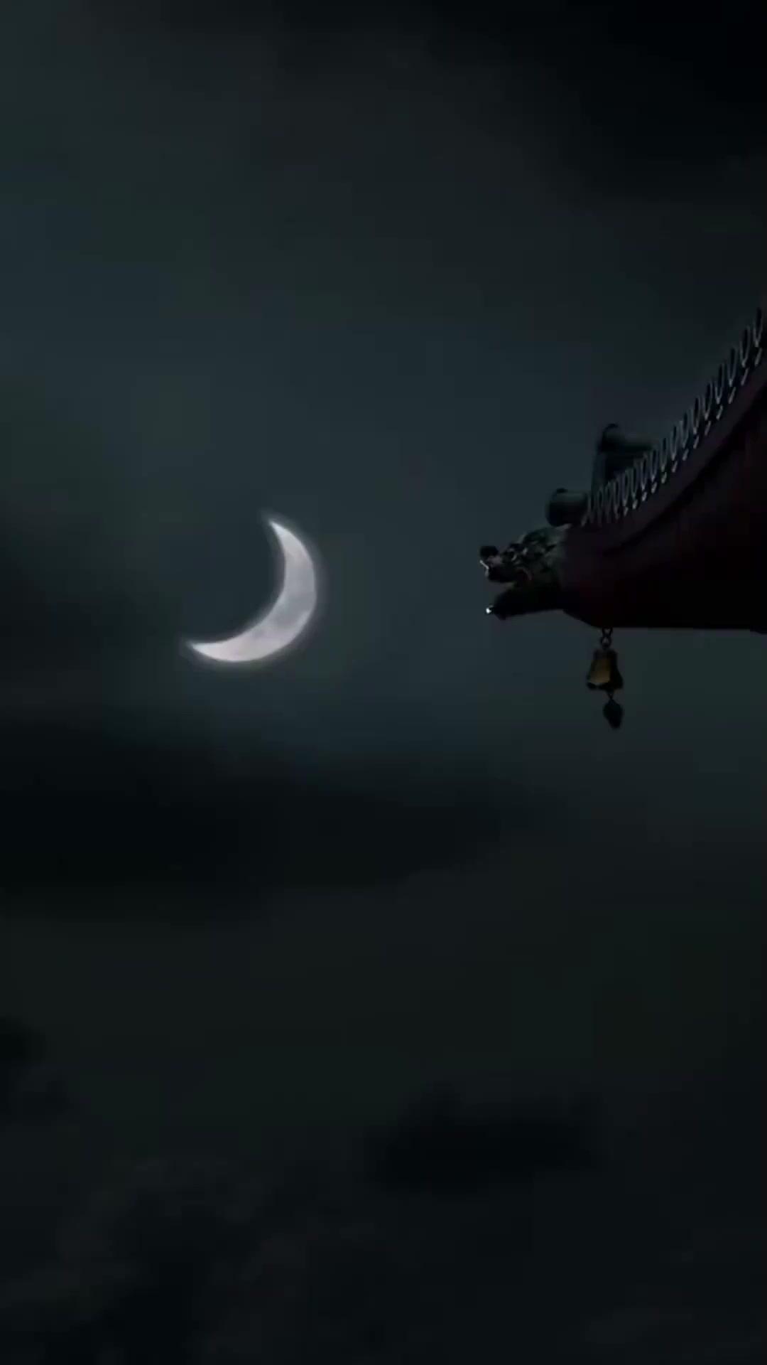 Suamiku Ternyata Belum Meninggal