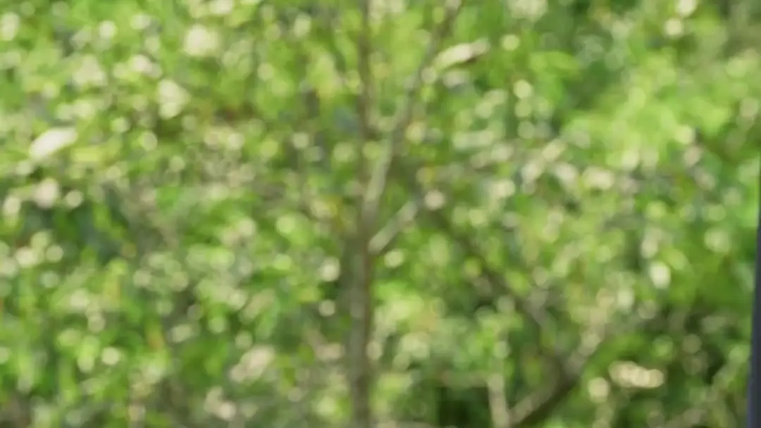 The Nanny's Web: The Grey Blazer and the Unspoken Pact