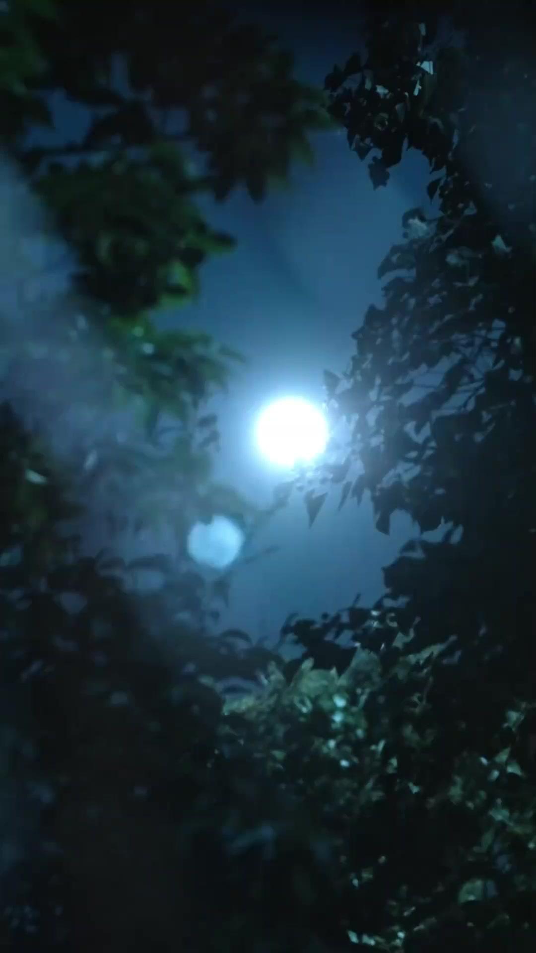 حاكم الأقدار المتخفّي