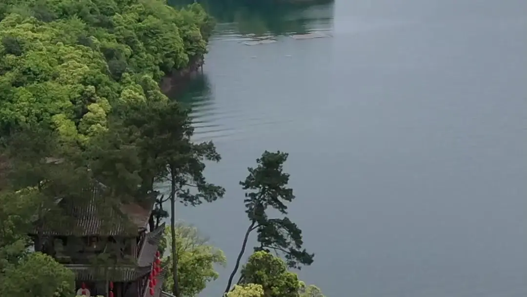 Iron Fist, Blossoming Heart: Where Every Gesture Is a Weapon