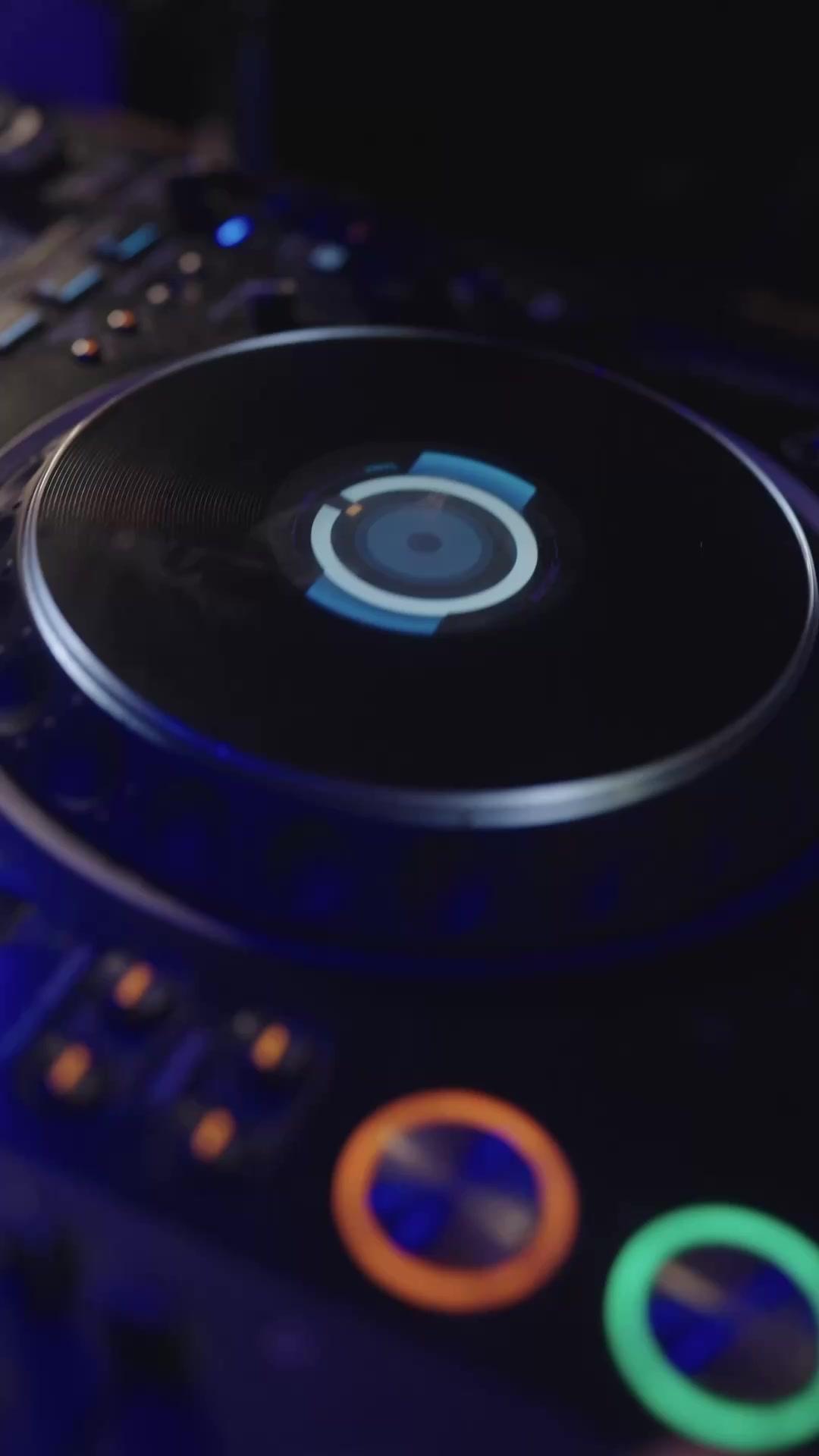 青松之下，玫瑰盛開