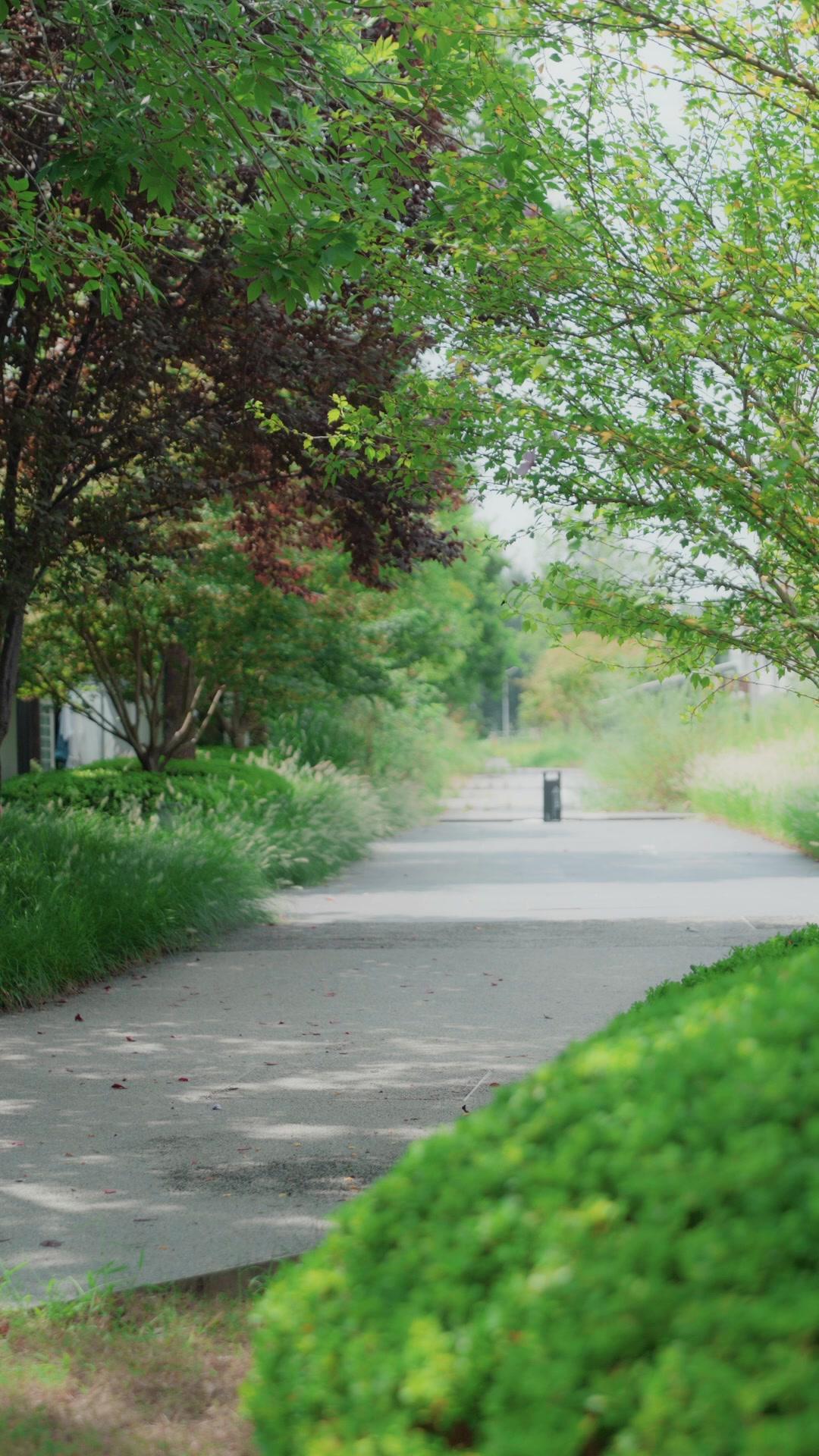 Mr. CEO, Choose: Her or Me?