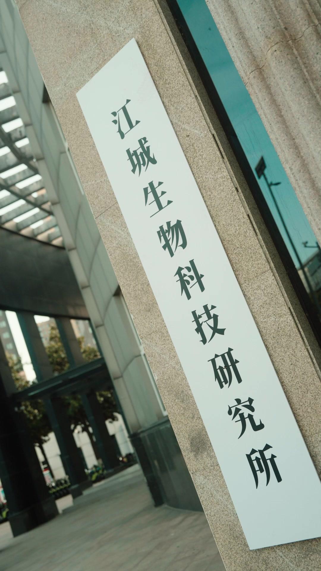 Three Chances, No Goodbyes