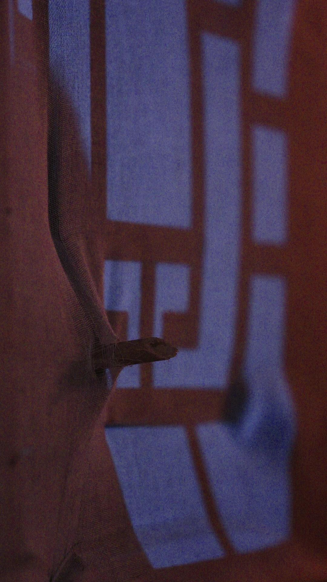 Chiến Thần Protein 