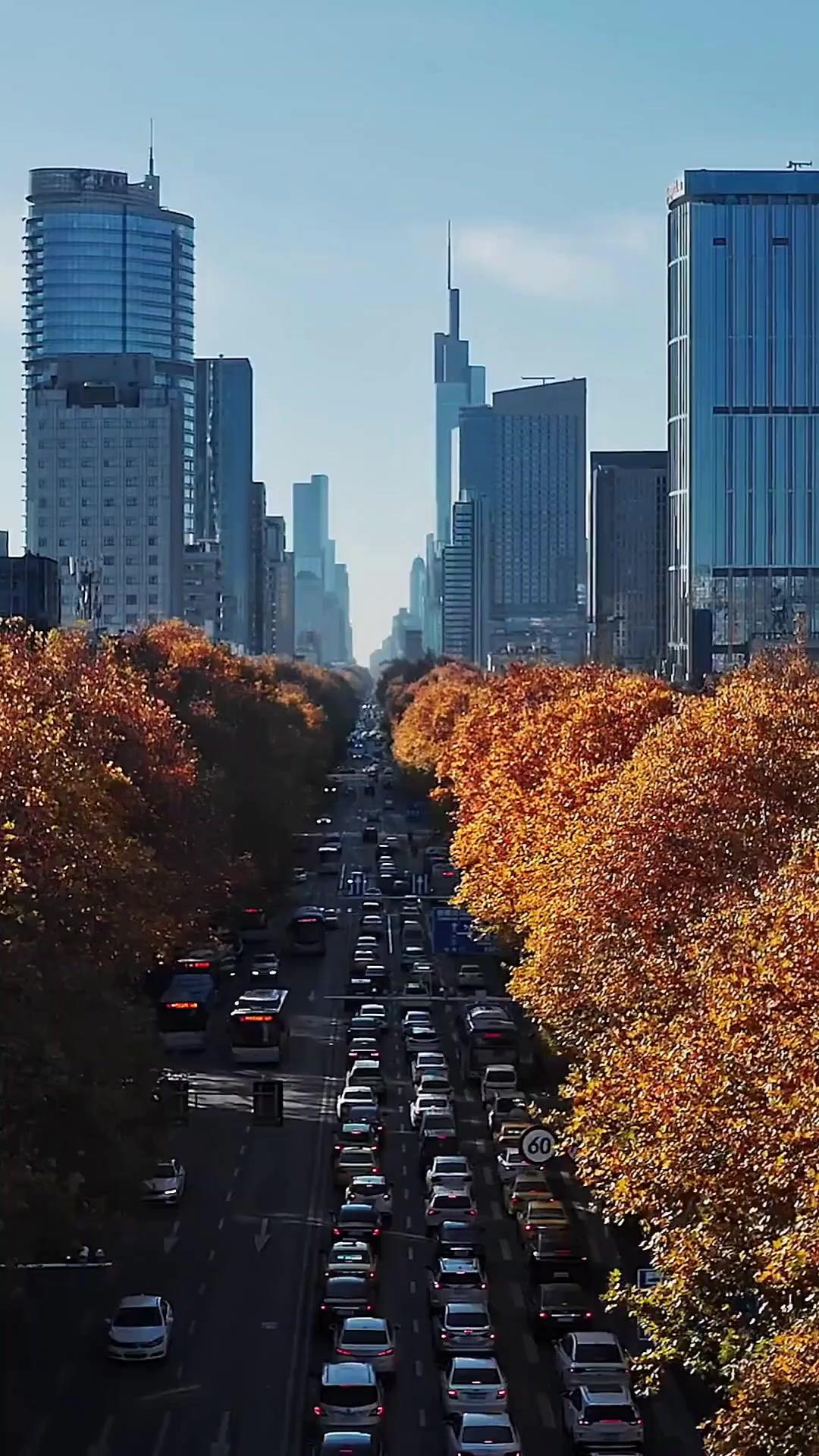(Doblado) No te metas con este mendigo