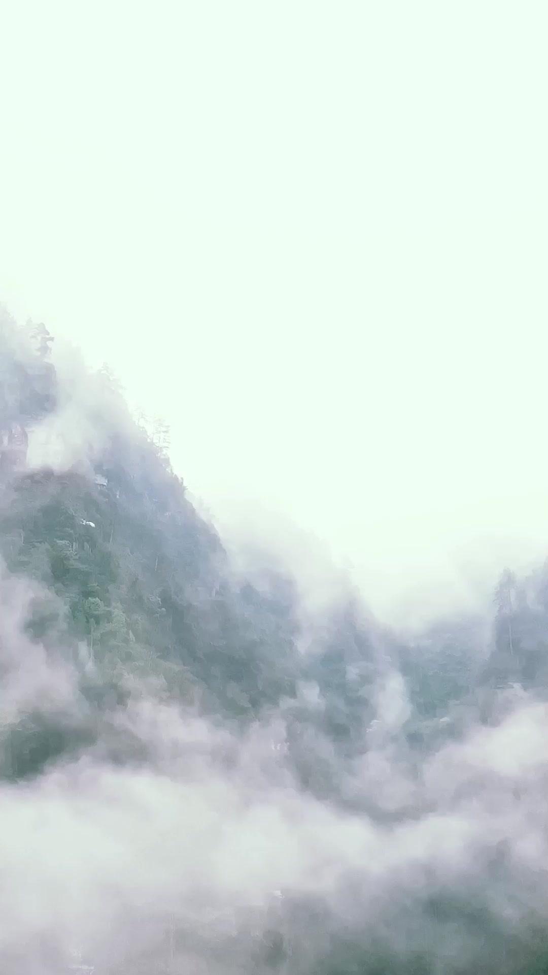 Love’s Venom, Vengeance’s Vow