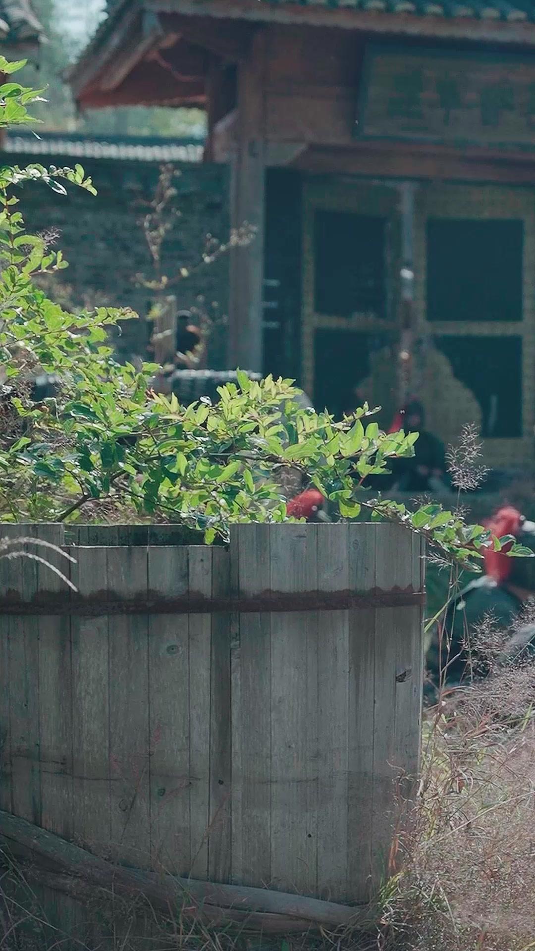 Emperatriz de dos épocas