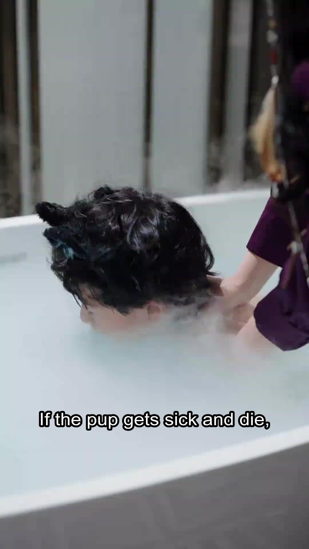 (Dubbed)Werewolf Papa’s Tender Secret