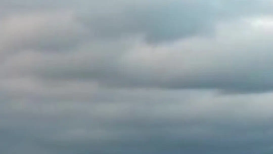 Giấc Mộng Hào Môn: Chiếc ô trong tuyết và nỗi lòng không nói thành lời