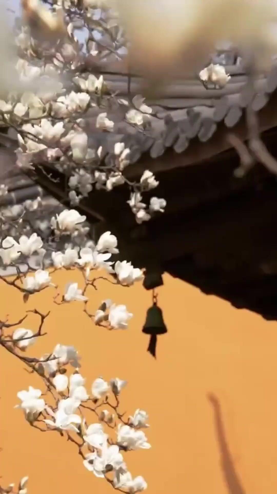 회귀한 의녀는 참지 않아!