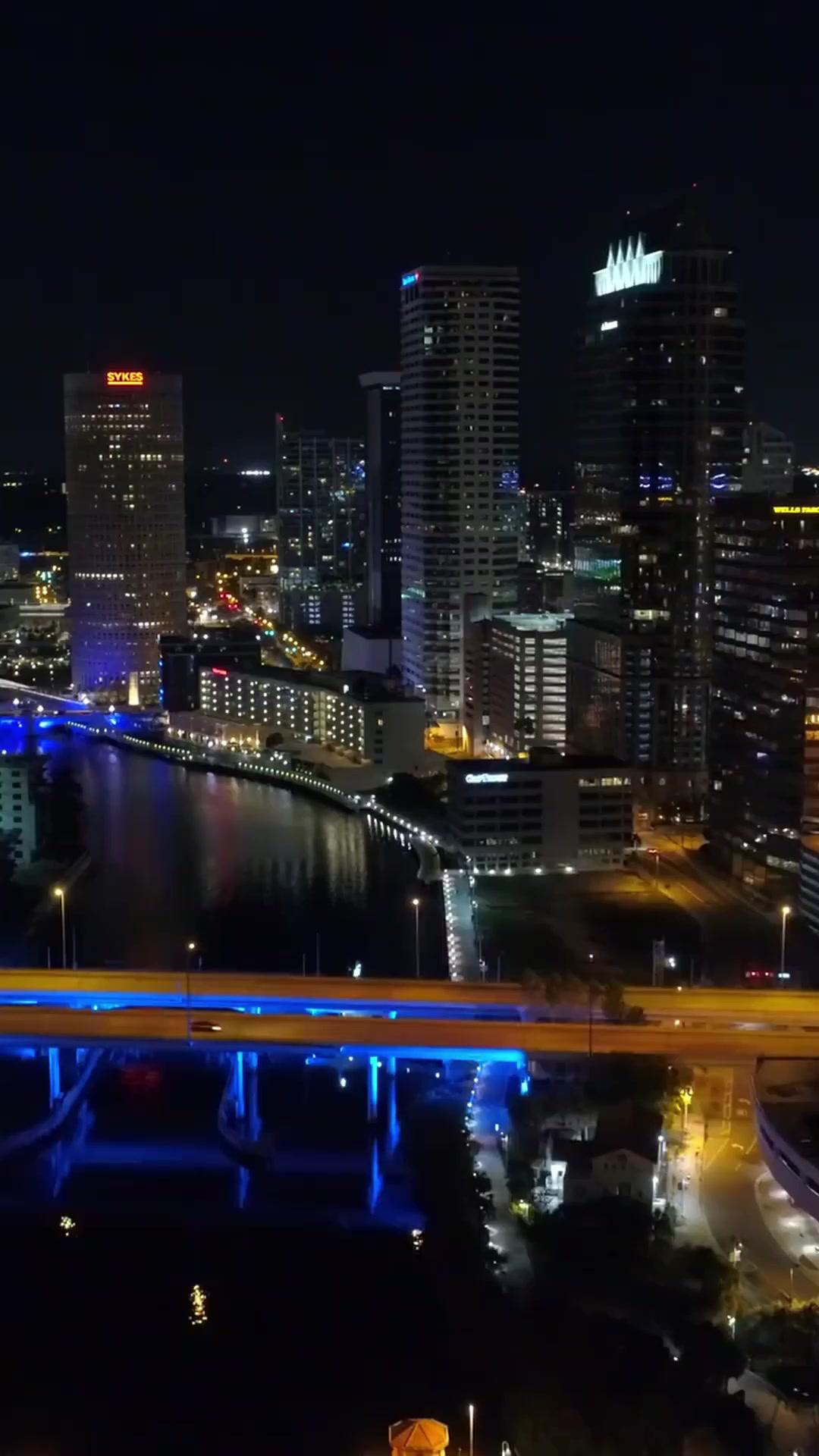 환생 자매의 반격