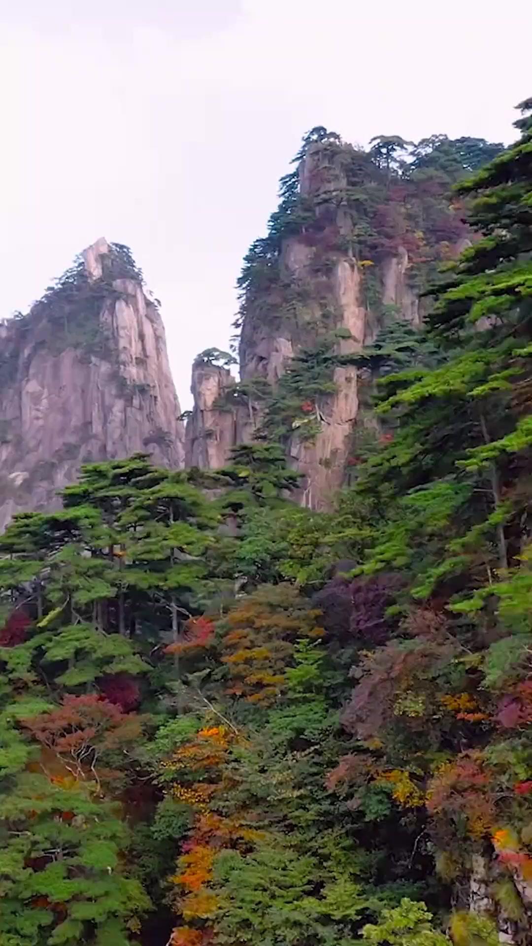 Thiên Tài Bị Che Giấu 