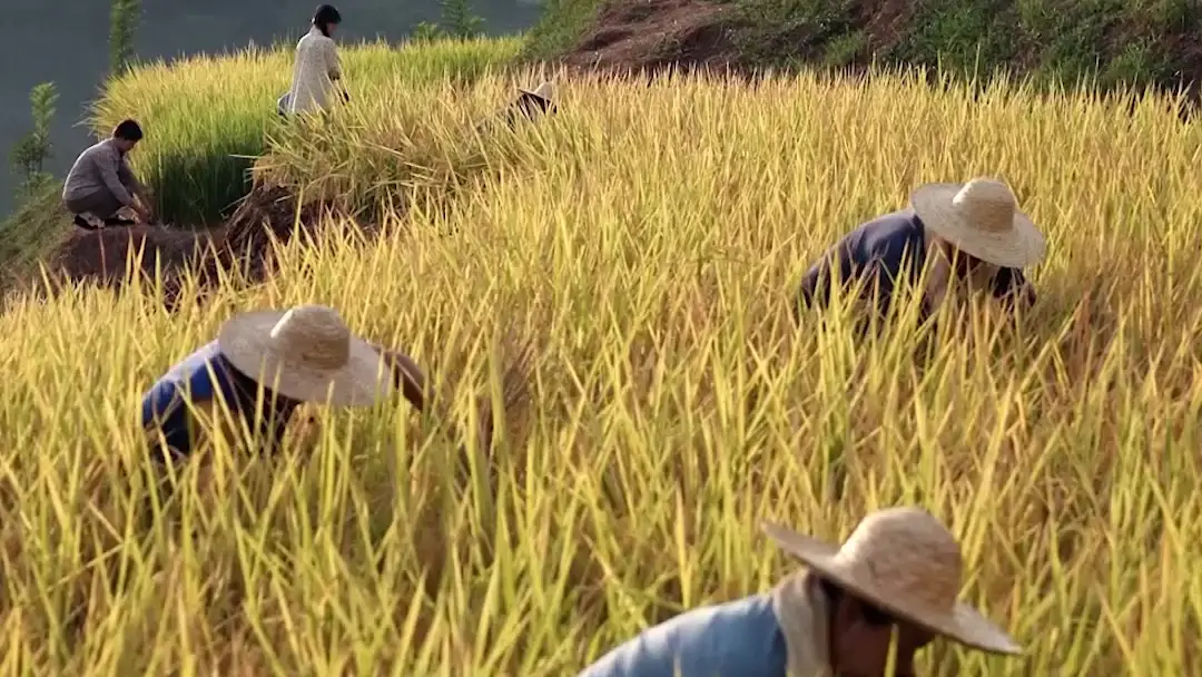 The Suitcase That Changed Everything