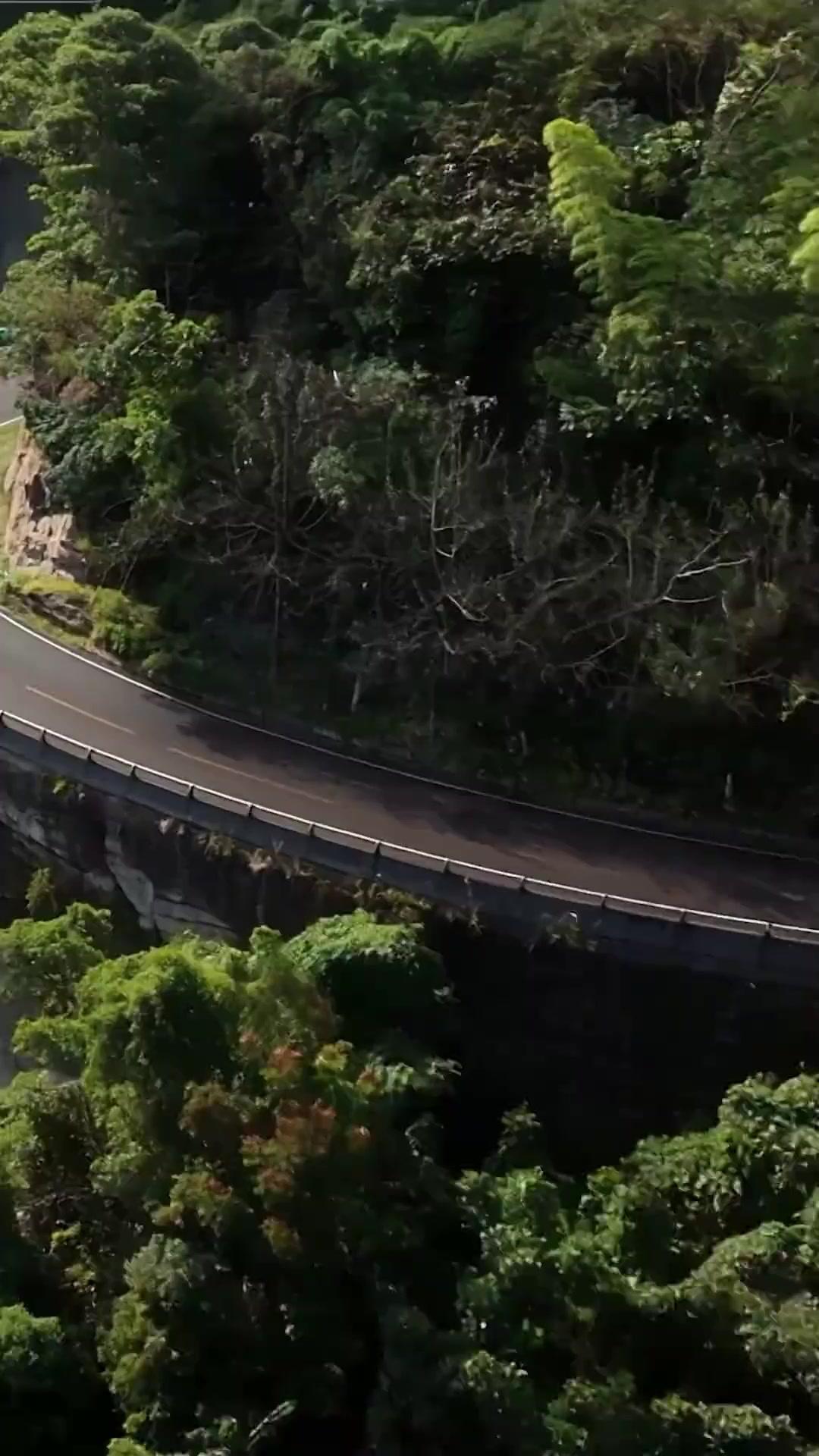 Kebangkitan Raja Balap