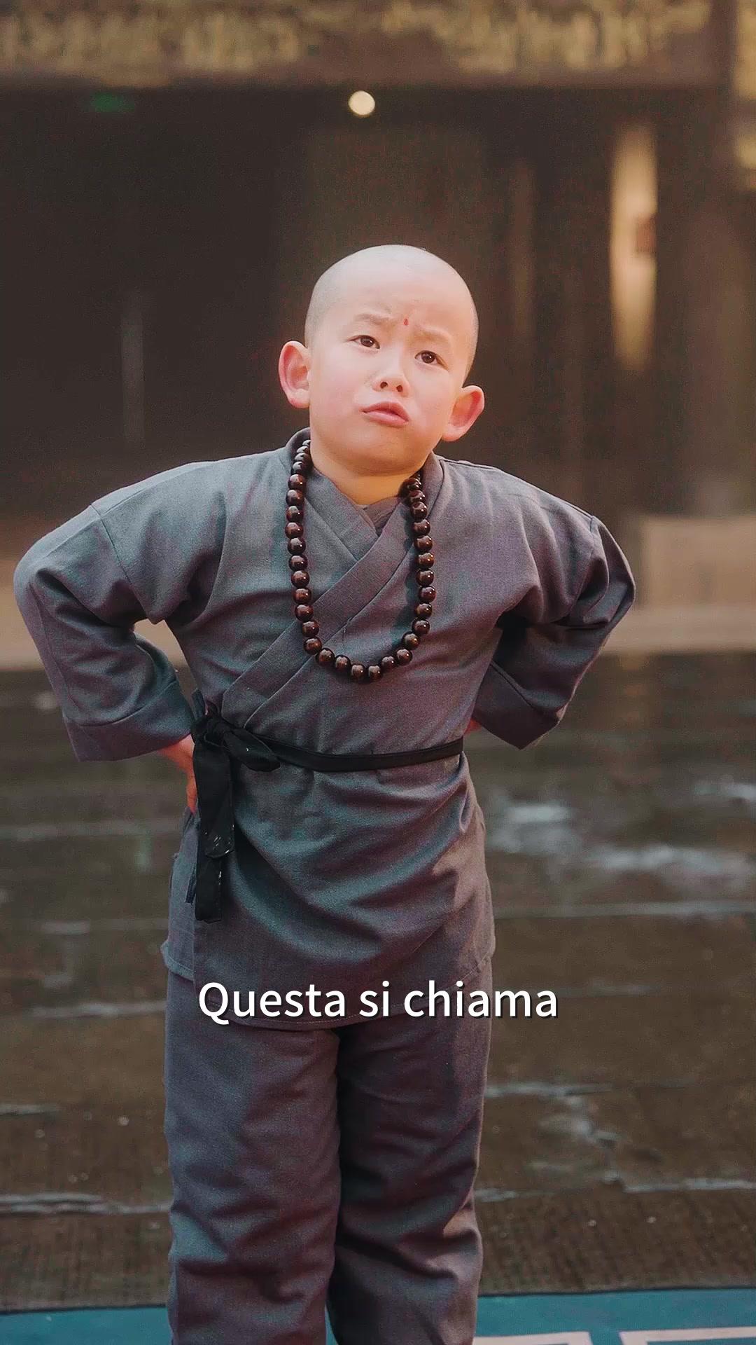 Piccolo Maestro di Kung Fu