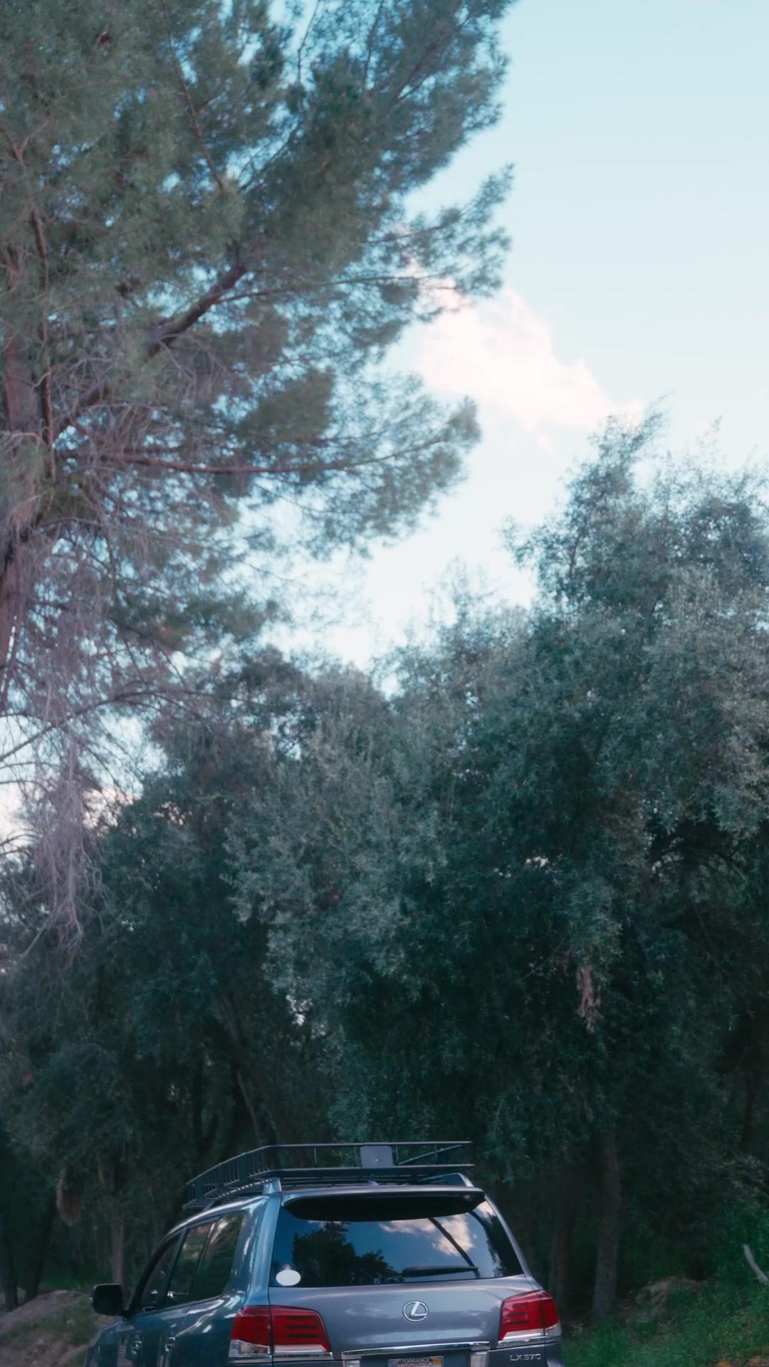 Mi prometido es de la mafia