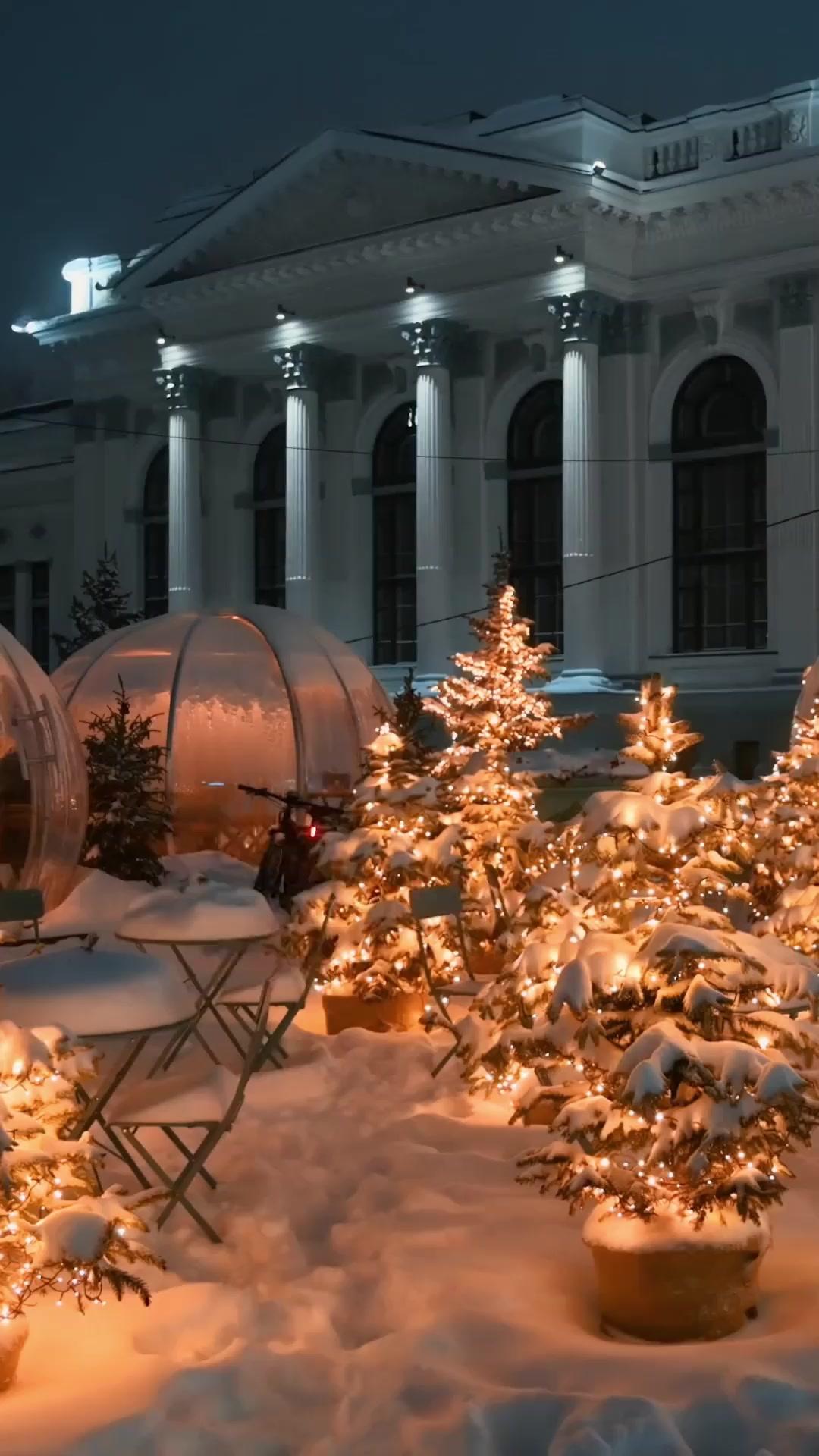(吹き替え) 家族という名の敵~クリスマスのサヨウナラ~