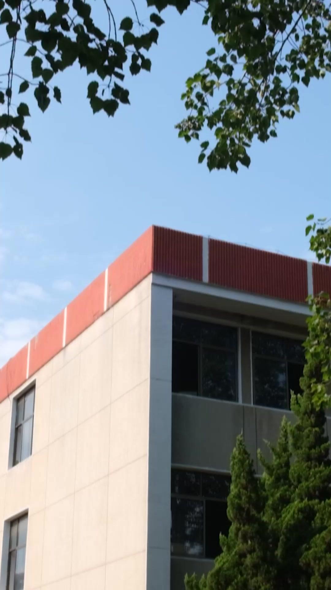 Tiểu Hoa Đào Của Anh