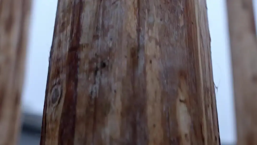 Sword of the Hidden Heart: When the Judges Are the Real Fighters