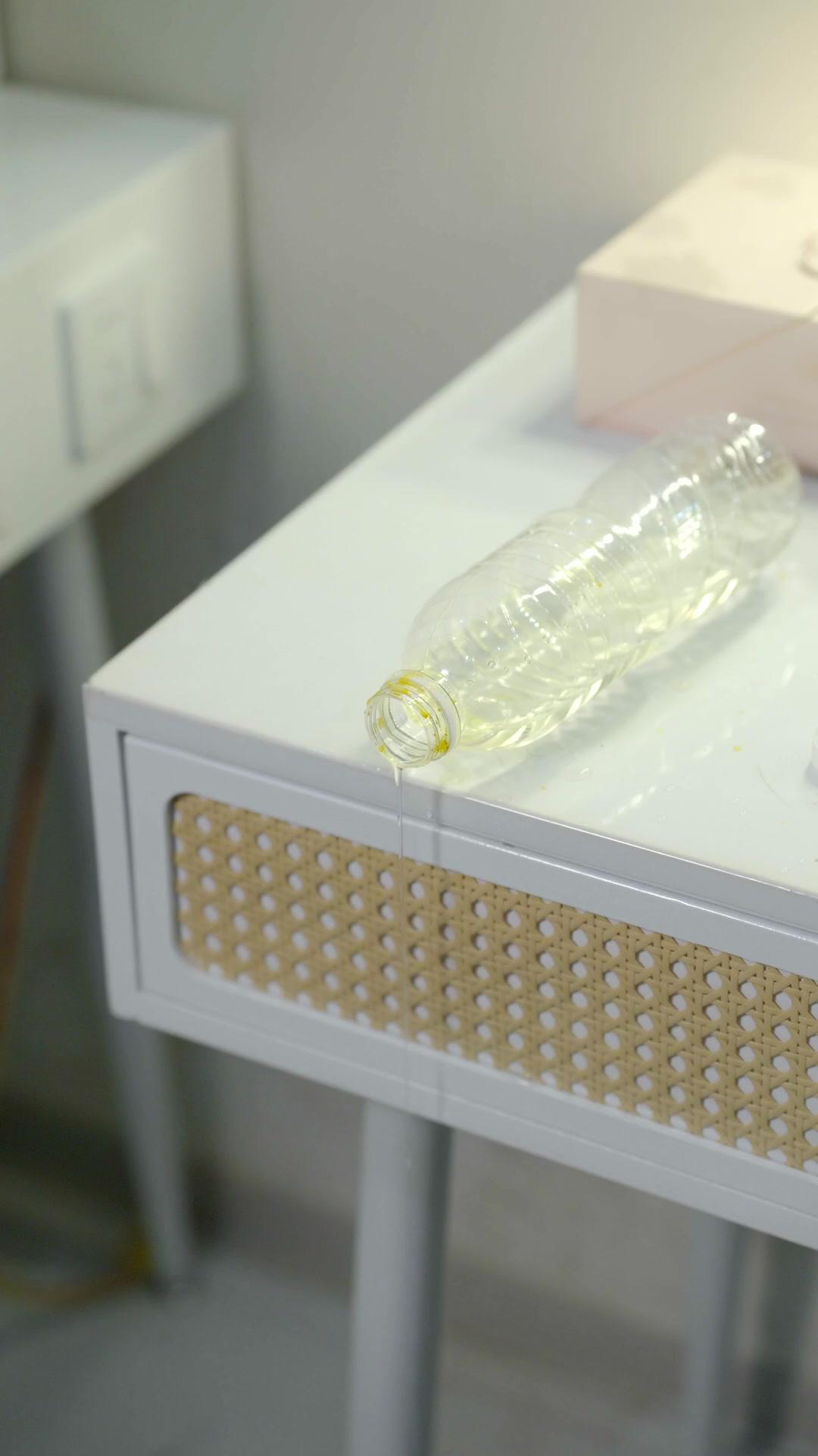 Musim Semi yang Baru 