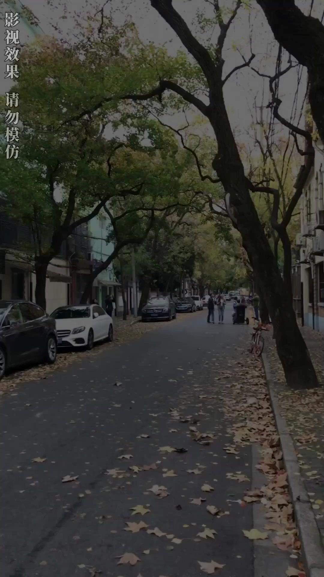 Cinta Tersembunyi Pewaris Kaya