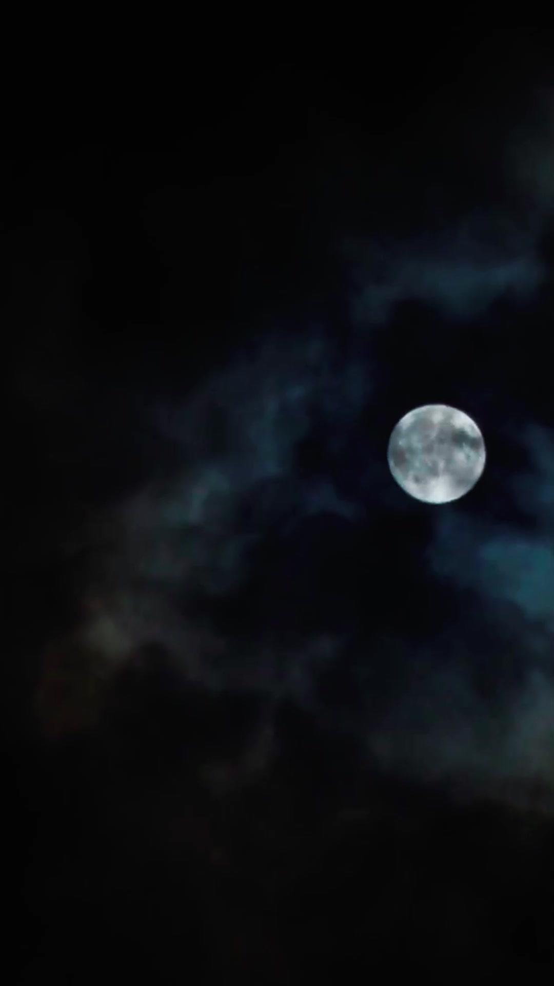 武神：庶子無雙