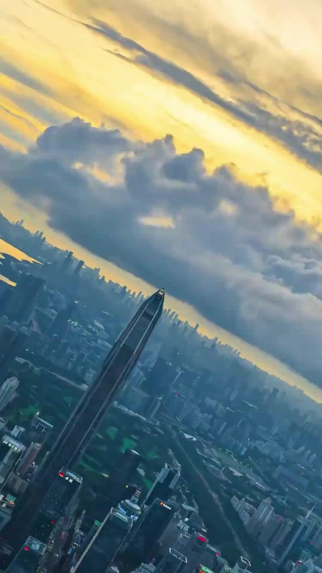 잘나가는 7공주를 지키다