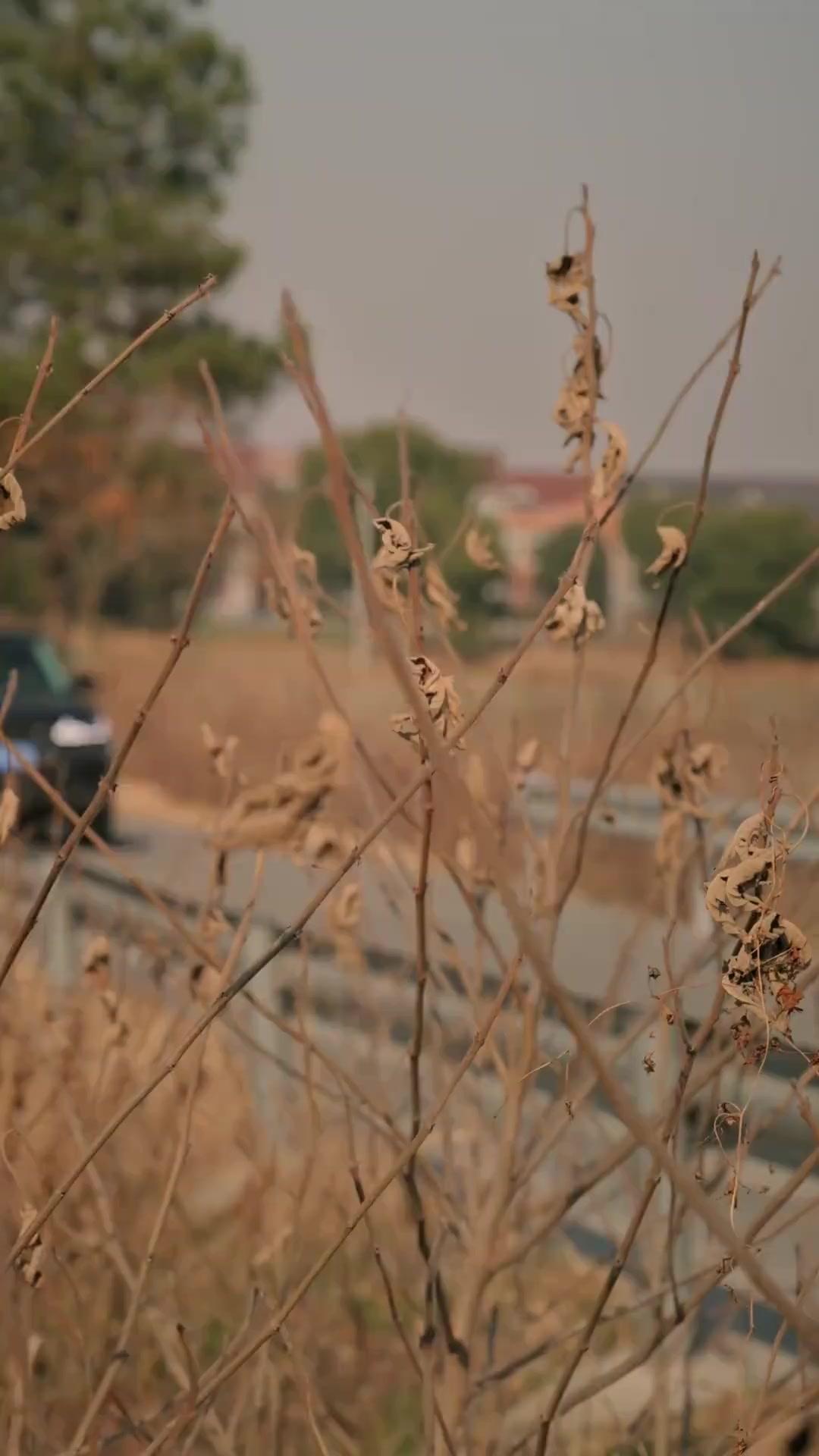 Destinos entrelazados