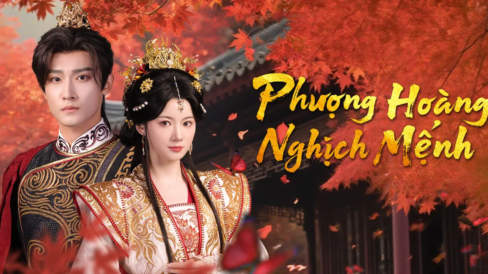 Phượng Hoàng Nghịch Mệnh – câu chuyện tình yêu, quyền lực và sự tái sinh của một nữ nhân